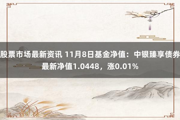 股票市场最新资讯 11月8日基金净值：中银臻享债券最新净值1.0448，涨0.01%