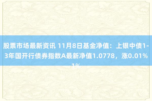 股票市场最新资讯 11月8日基金净值：上银中债1-3年国开行债券指数A最新净值1.0778，涨0.01%