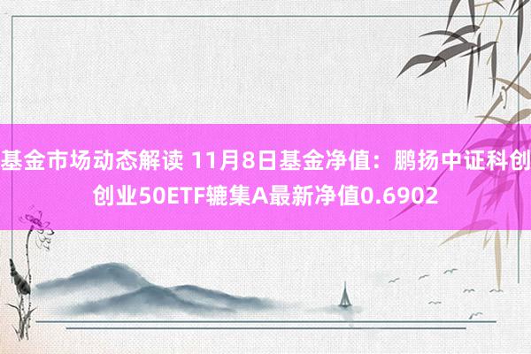 基金市场动态解读 11月8日基金净值：鹏扬中证科创创业50ETF辘集A最新净值0.6902