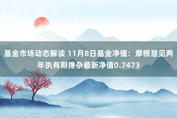 基金市场动态解读 11月8日基金净值：摩根慧见两年执有期搀杂最新净值0.7473