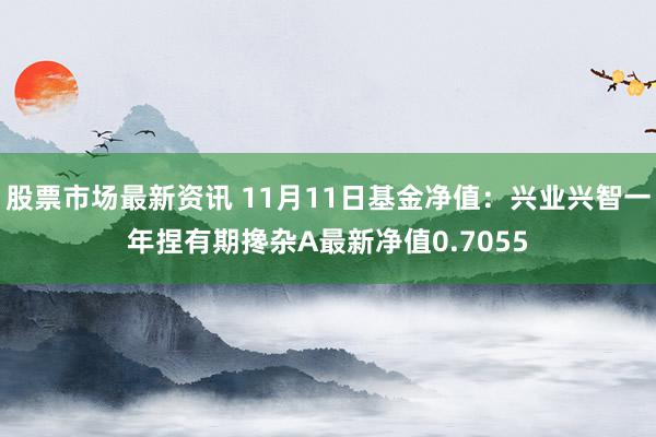 股票市场最新资讯 11月11日基金净值：兴业兴智一年捏有期搀杂A最新净值0.7055