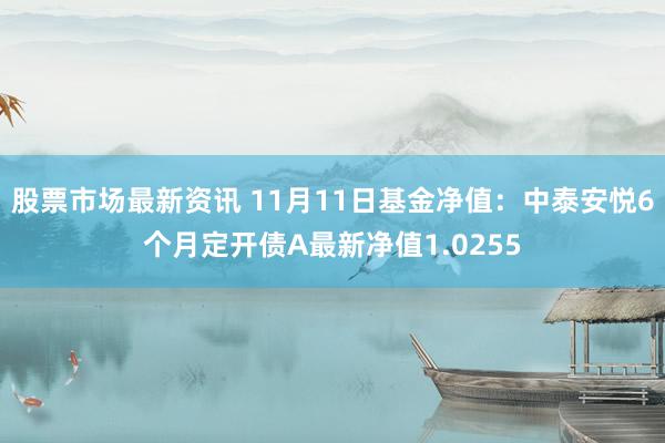 股票市场最新资讯 11月11日基金净值：中泰安悦6个月定开债A最新净值1.0255