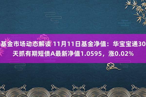 基金市场动态解读 11月11日基金净值：华宝宝通30天抓有期短债A最新净值1.0595，涨0.02%