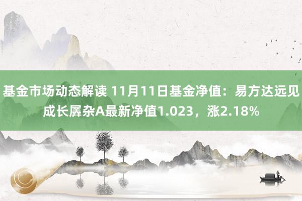 基金市场动态解读 11月11日基金净值：易方达远见成长羼杂A最新净值1.023，涨2.18%