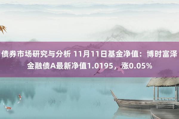 债券市场研究与分析 11月11日基金净值：博时富泽金融债A最新净值1.0195，涨0.05%