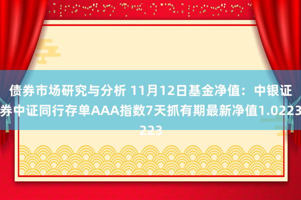 债券市场研究与分析 11月12日基金净值：中银证券中证同行存单AAA指数7天抓有期最新净值1.0223