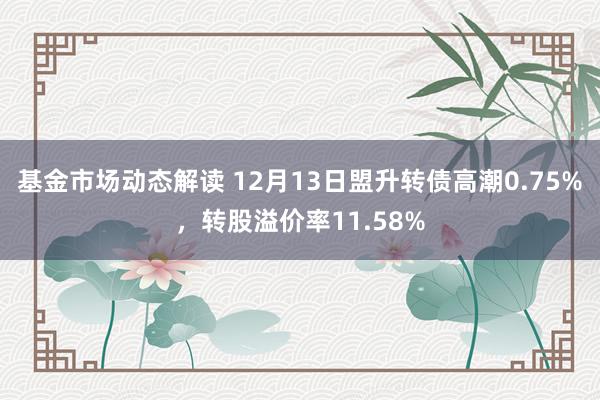 基金市场动态解读 12月13日盟升转债高潮0.75%，转股溢价率11.58%