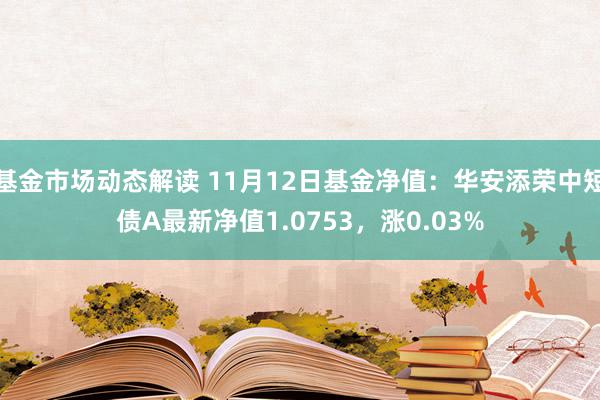 基金市场动态解读 11月12日基金净值：华安添荣中短债A最新净值1.0753，涨0.03%