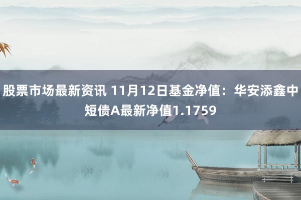 股票市场最新资讯 11月12日基金净值：华安添鑫中短债A最新净值1.1759