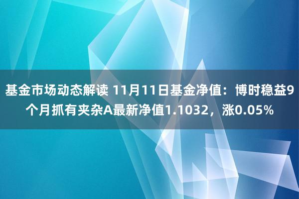 基金市场动态解读 11月11日基金净值：博时稳益9个月抓有夹杂A最新净值1.1032，涨0.05%