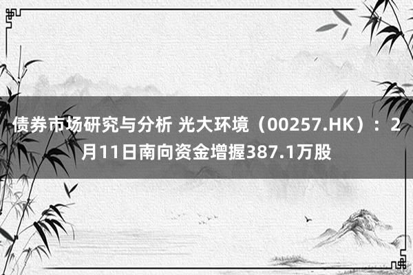 债券市场研究与分析 光大环境（00257.HK）：2月11日南向资金增握387.1万股