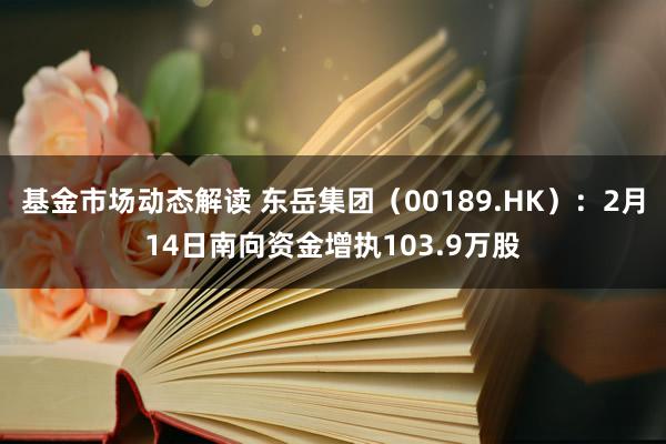 基金市场动态解读 东岳集团（00189.HK）：2月14日南向资金增执103.9万股