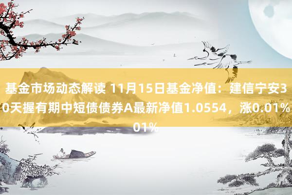 基金市场动态解读 11月15日基金净值：建信宁安30天握有期中短债债券A最新净值1.0554，涨0.01%