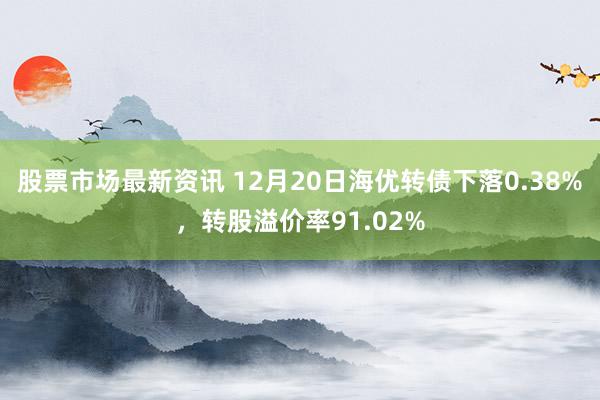 股票市场最新资讯 12月20日海优转债下落0.38%，转股溢价率91.02%