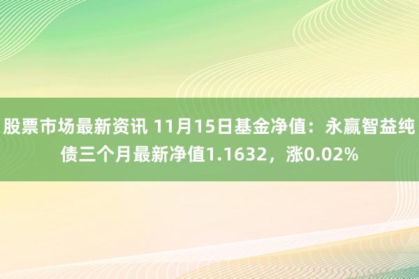 股票市场最新资讯 11月15日基金净值：永赢智益纯债三个月最新净值1.1632，涨0.02%