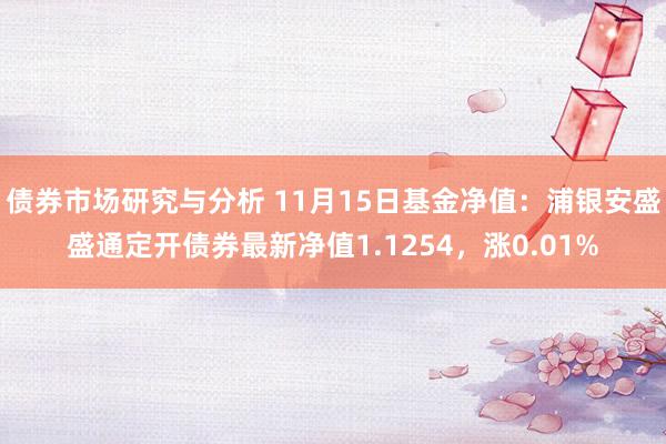 债券市场研究与分析 11月15日基金净值：浦银安盛盛通定开债券最新净值1.1254，涨0.01%