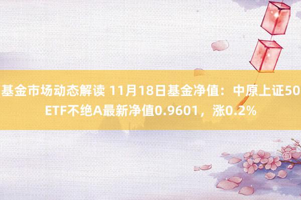 基金市场动态解读 11月18日基金净值：中原上证50ETF不绝A最新净值0.9601，涨0.2%