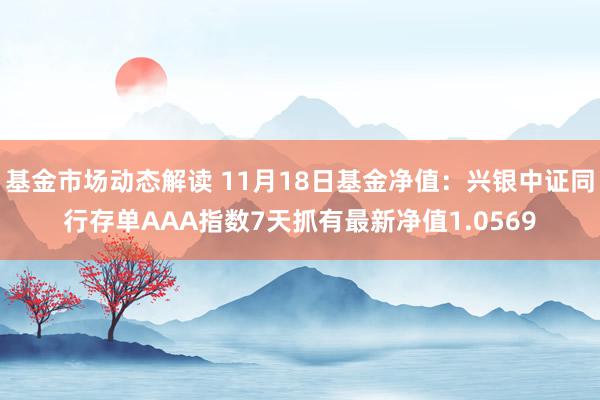 基金市场动态解读 11月18日基金净值：兴银中证同行存单AAA指数7天抓有最新净值1.0569