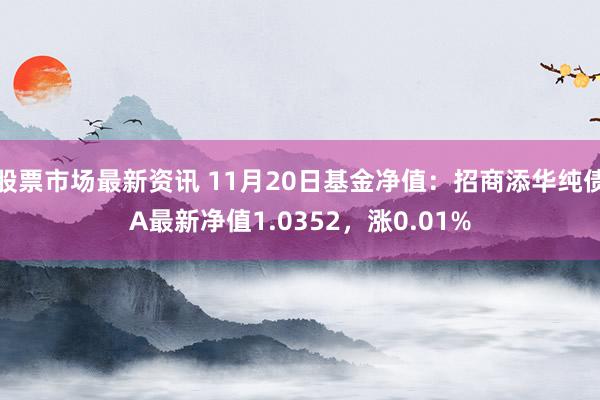 股票市场最新资讯 11月20日基金净值：招商添华纯债A最新净值1.0352，涨0.01%