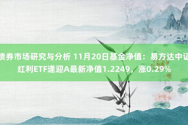 债券市场研究与分析 11月20日基金净值：易方达中证红利ETF逢迎A最新净值1.2249，涨0.29%