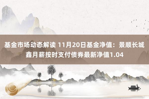 基金市场动态解读 11月20日基金净值：景顺长城鑫月薪按时支付债券最新净值1.04