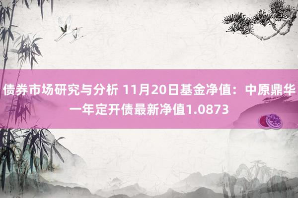 债券市场研究与分析 11月20日基金净值：中原鼎华一年定开债最新净值1.0873