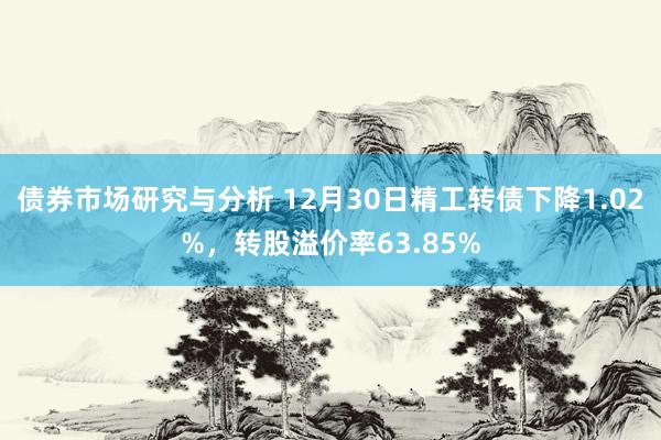 债券市场研究与分析 12月30日精工转债下降1.02%，转股溢价率63.85%