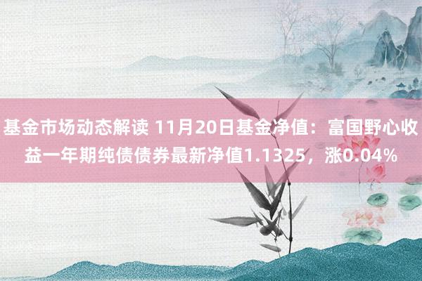 基金市场动态解读 11月20日基金净值：富国野心收益一年期纯债债券最新净值1.1325，涨0.04%