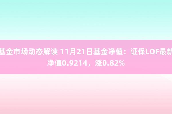 基金市场动态解读 11月21日基金净值：证保LOF最新净值0.9214，涨0.82%