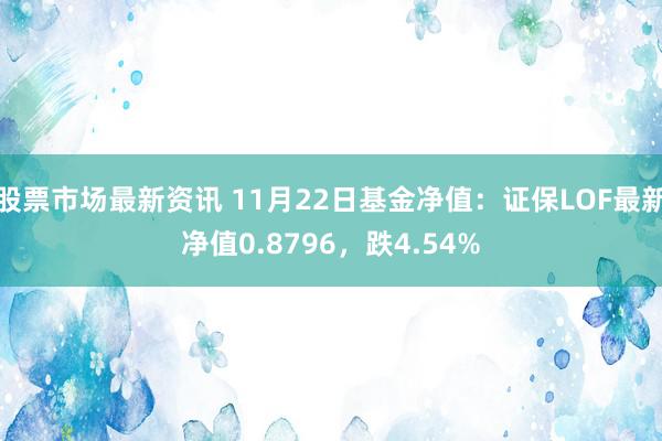 股票市场最新资讯 11月22日基金净值：证保LOF最新净值0.8796，跌4.54%