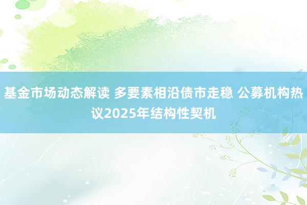 基金市场动态解读 多要素相沿债市走稳 公募机构热议2025年结构性契机