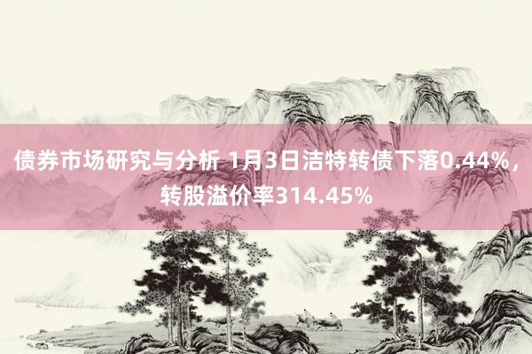 债券市场研究与分析 1月3日洁特转债下落0.44%，转股溢价率314.45%