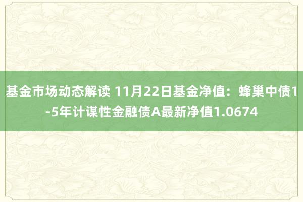 基金市场动态解读 11月22日基金净值：蜂巢中债1-5年计谋性金融债A最新净值1.0674